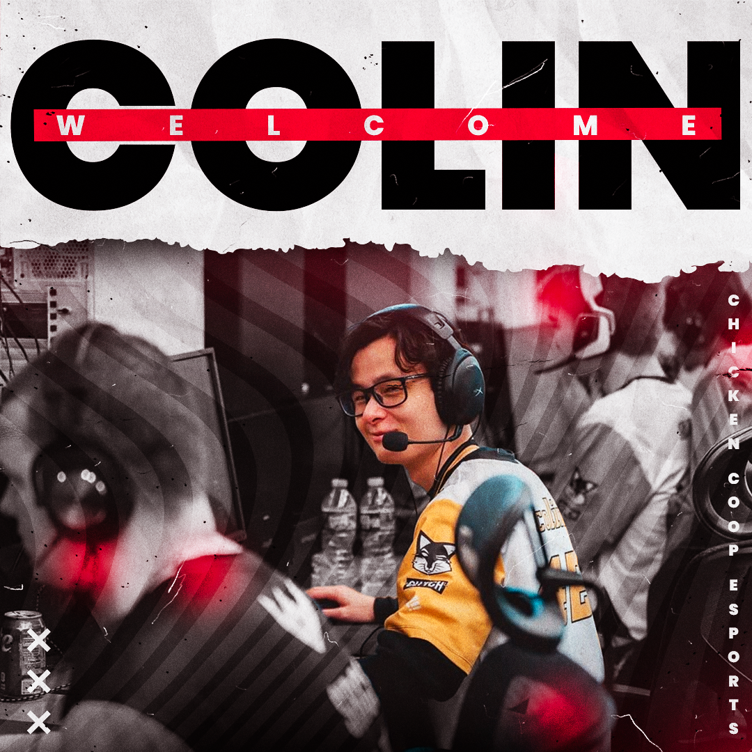 A New Hatchling joins the Coop!